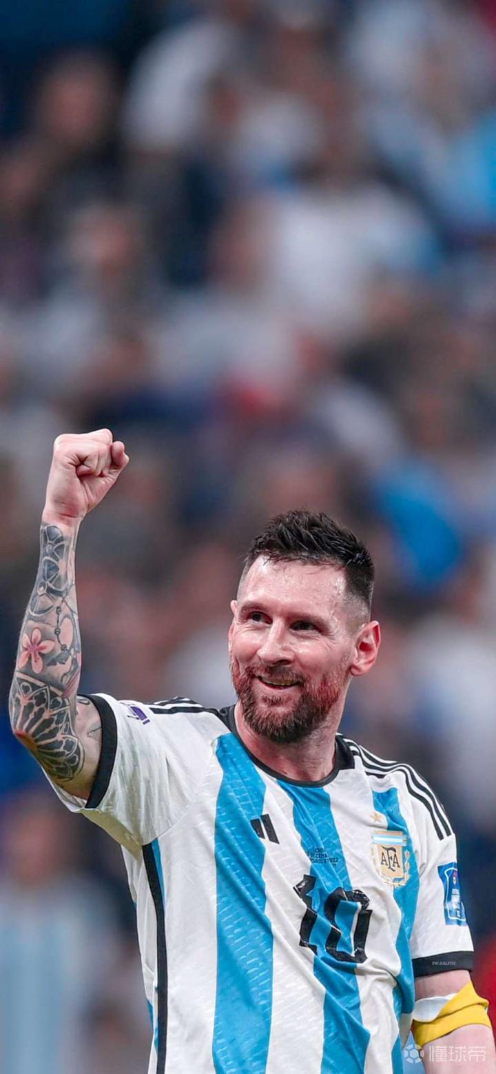 照出体系的 照出体系的