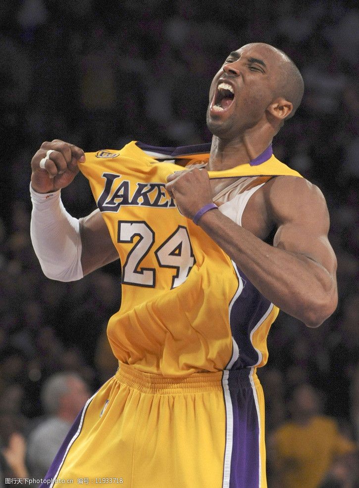 稳定的下注 稳定的下注